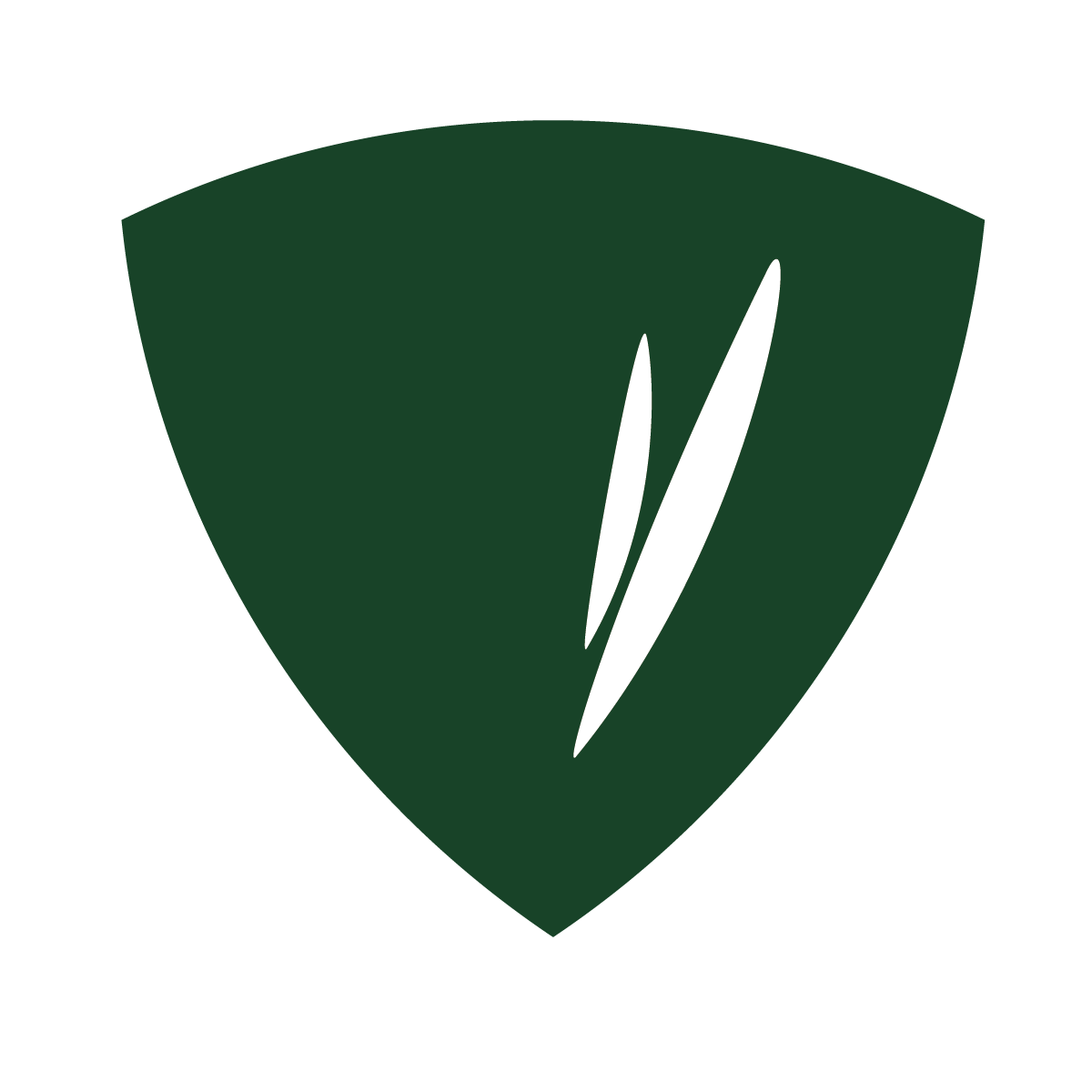 Natura Vitalis Logo